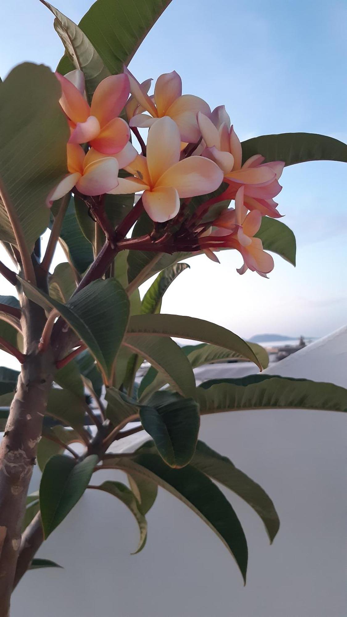 La Belle Vie Villa Famara Ngoại thất bức ảnh